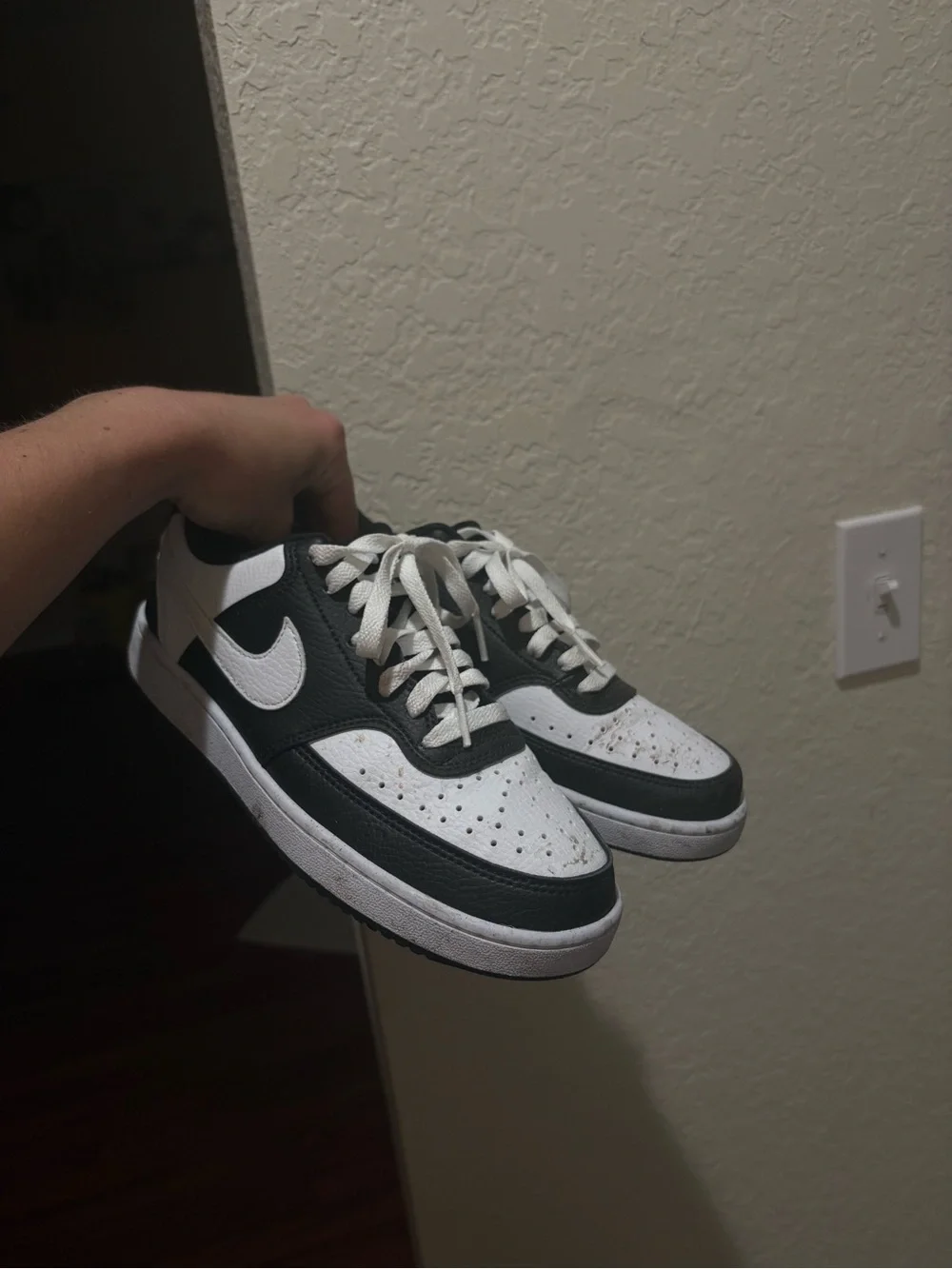 Nike Black and White Low-Top Sneakers